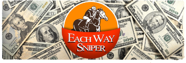 Each Way Sniper Banner