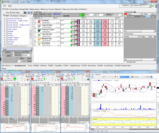 What Is The Best Betfair Trading Software Mike Cruickshank